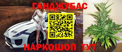ALPHA PVP Коммунар