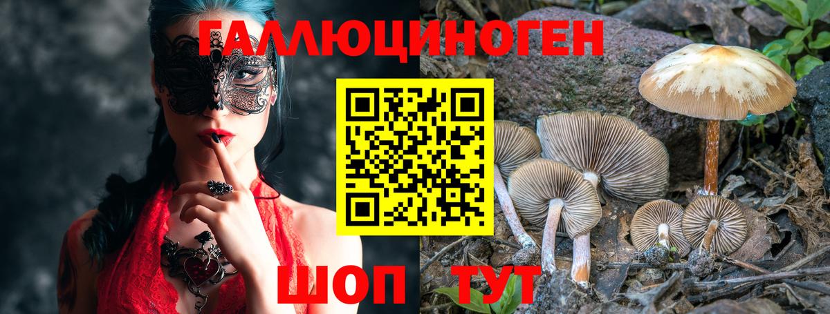 Галлюциногенные грибы мухоморы Киров